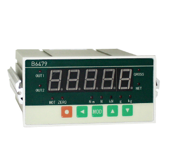 德國(guó)TECSIS 現(xiàn)場(chǎng)顯示儀表