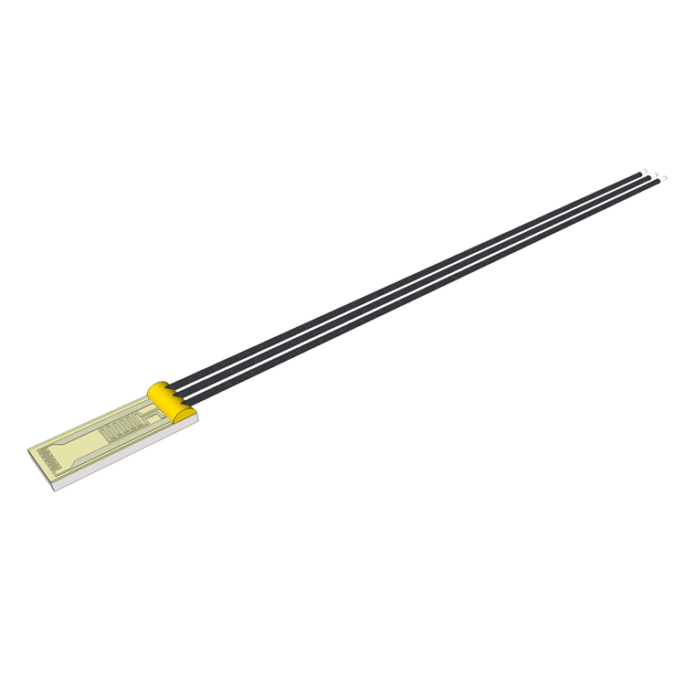 瑞士IST 熱質(zhì)量流量傳感器